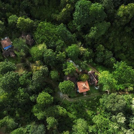Mahout Resort Wayanad - An Experiential Jungle Stay With Waterfall Kalpetta Luaran gambar