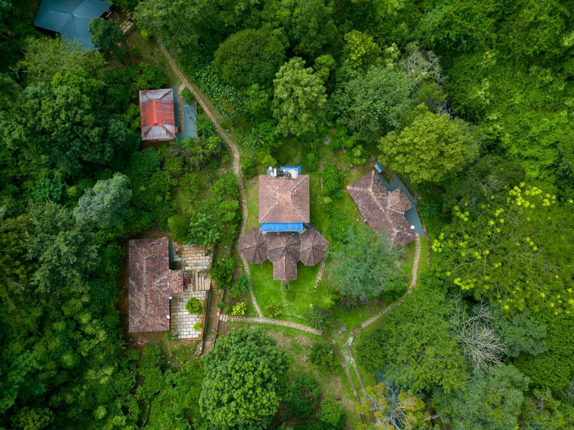 Mahout Resort Wayanad - An Experiential Jungle Stay With Waterfall Kalpetta Luaran gambar