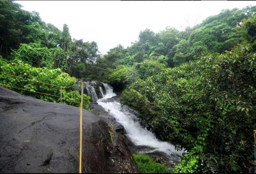 Mahout Resort Wayanad - An Experiential Jungle Stay With Waterfall Kalpetta Luaran gambar