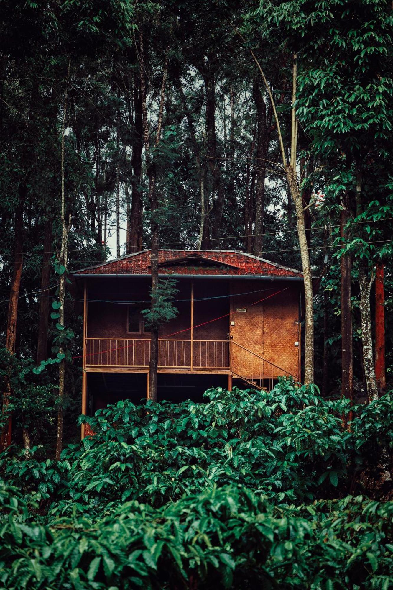 Mahout Resort Wayanad - An Experiential Jungle Stay With Waterfall Kalpetta Luaran gambar