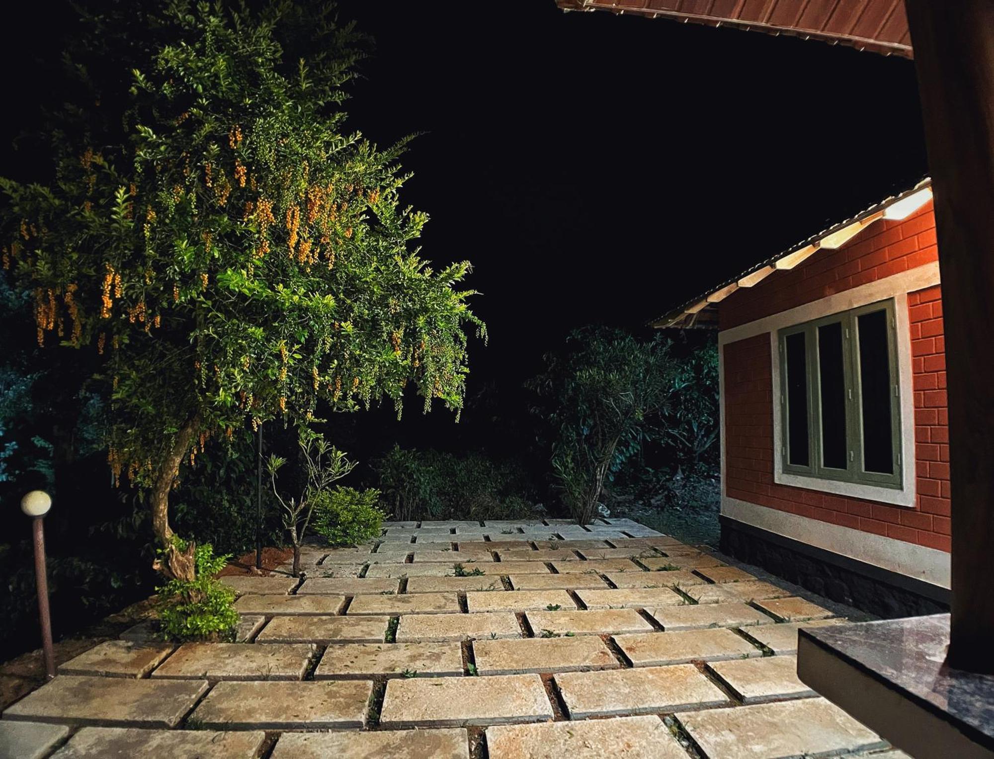 Mahout Resort Wayanad - An Experiential Jungle Stay With Waterfall Kalpetta Luaran gambar
