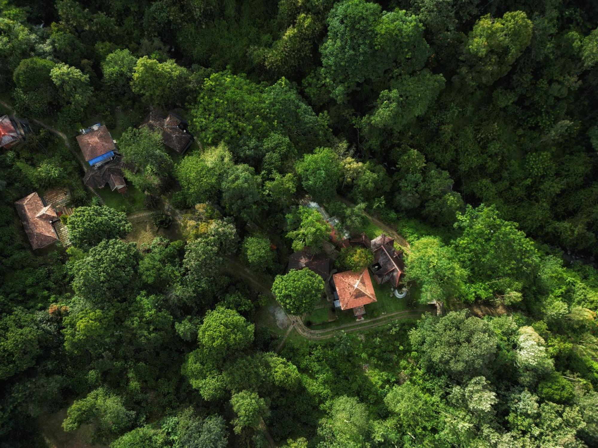 Mahout Resort Wayanad - An Experiential Jungle Stay With Waterfall Kalpetta Luaran gambar