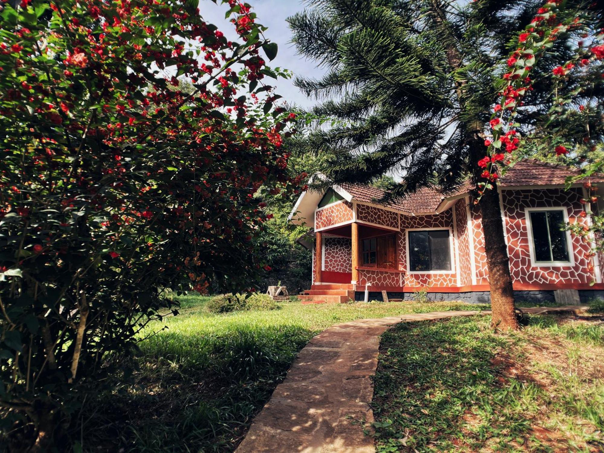 Mahout Resort Wayanad - An Experiential Jungle Stay With Waterfall Kalpetta Luaran gambar