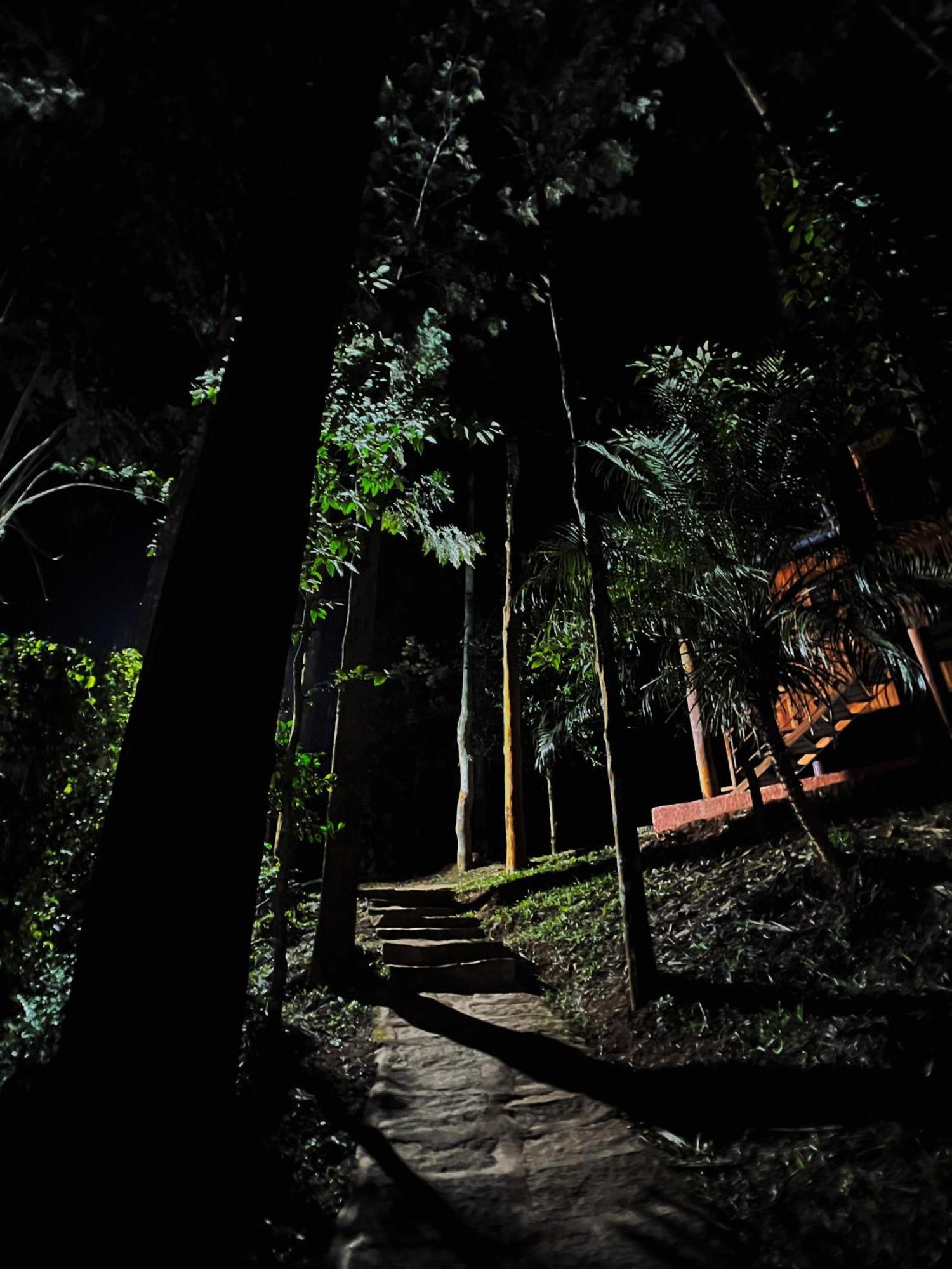 Mahout Resort Wayanad - An Experiential Jungle Stay With Waterfall Kalpetta Luaran gambar