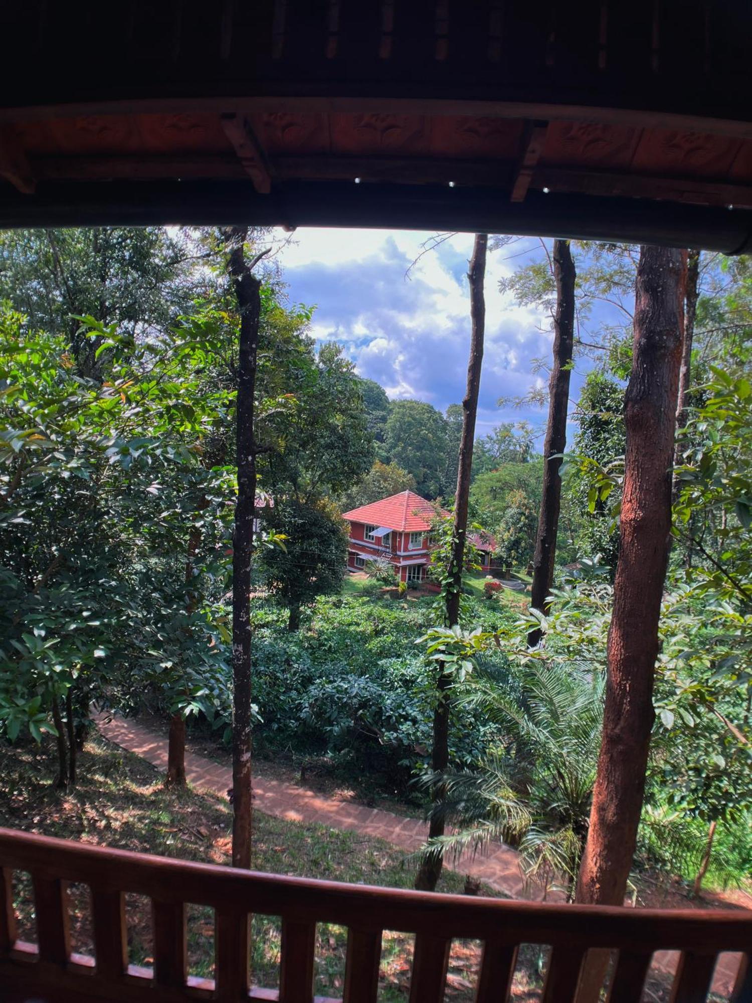 Mahout Resort Wayanad - An Experiential Jungle Stay With Waterfall Kalpetta Luaran gambar