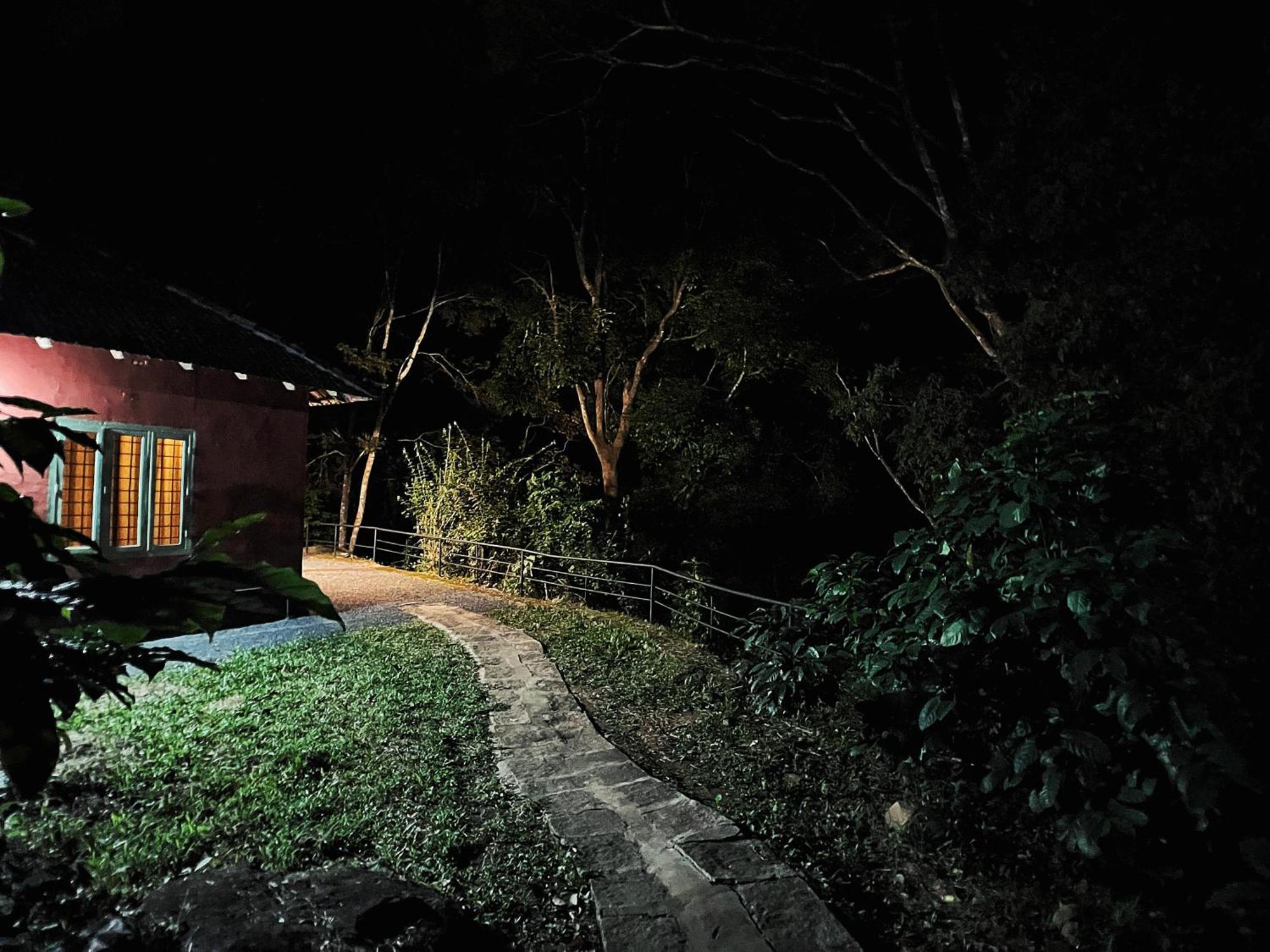 Mahout Resort Wayanad - An Experiential Jungle Stay With Waterfall Kalpetta Luaran gambar