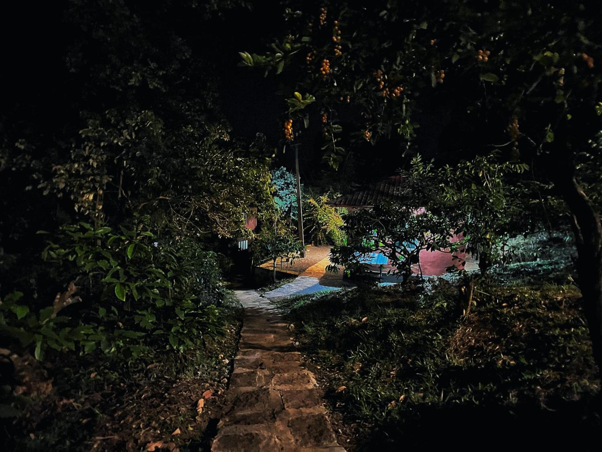 Mahout Resort Wayanad - An Experiential Jungle Stay With Waterfall Kalpetta Luaran gambar